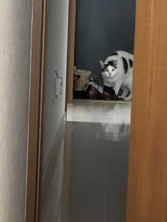 ���͂���