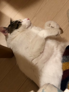 �����S���[��