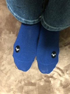 Suica�y���M������̌C��